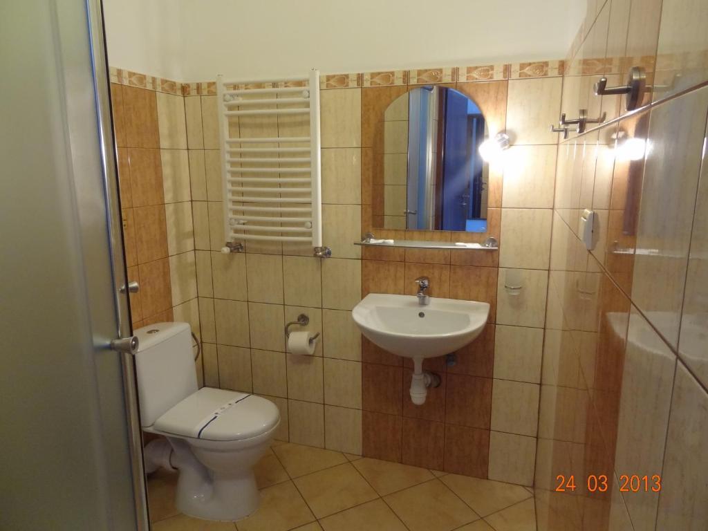 Alpenhof Pansion Hotel Slavske Room photo